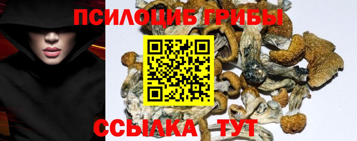 Тимашёвск  Галлюциногенные грибы ЛСД  Вход с VPN  Галлюциногенные грибы мухоморы 